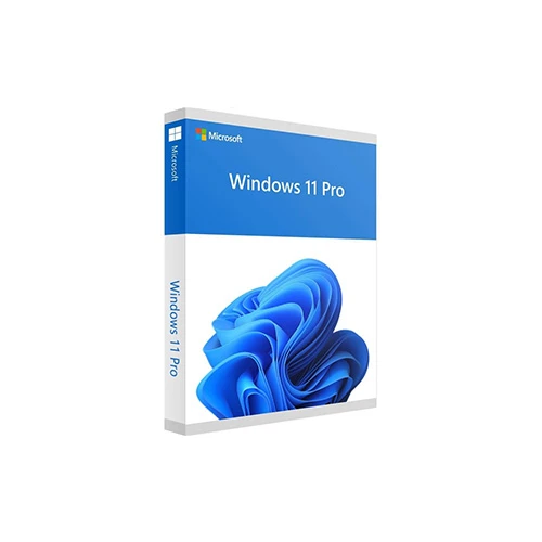  Microsoft Windows 11 Pro 